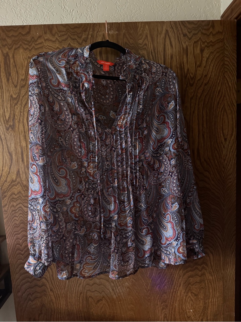 Paisley Print Long-Sleeve Blouse - Multicolor sheer